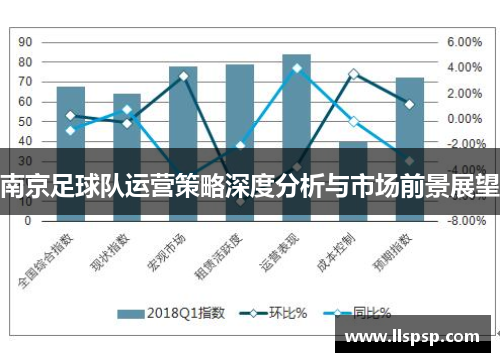 南京足球队运营策略深度分析与市场前景展望