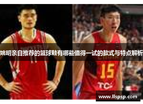 姚明亲自推荐的篮球鞋有哪些值得一试的款式与特点解析