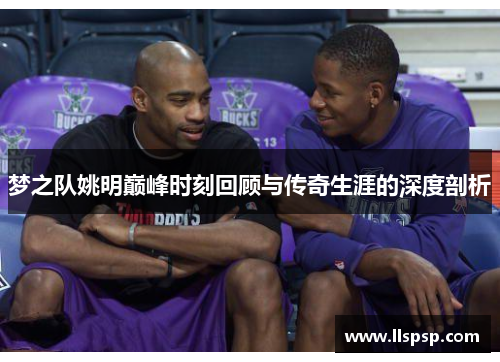 梦之队姚明巅峰时刻回顾与传奇生涯的深度剖析